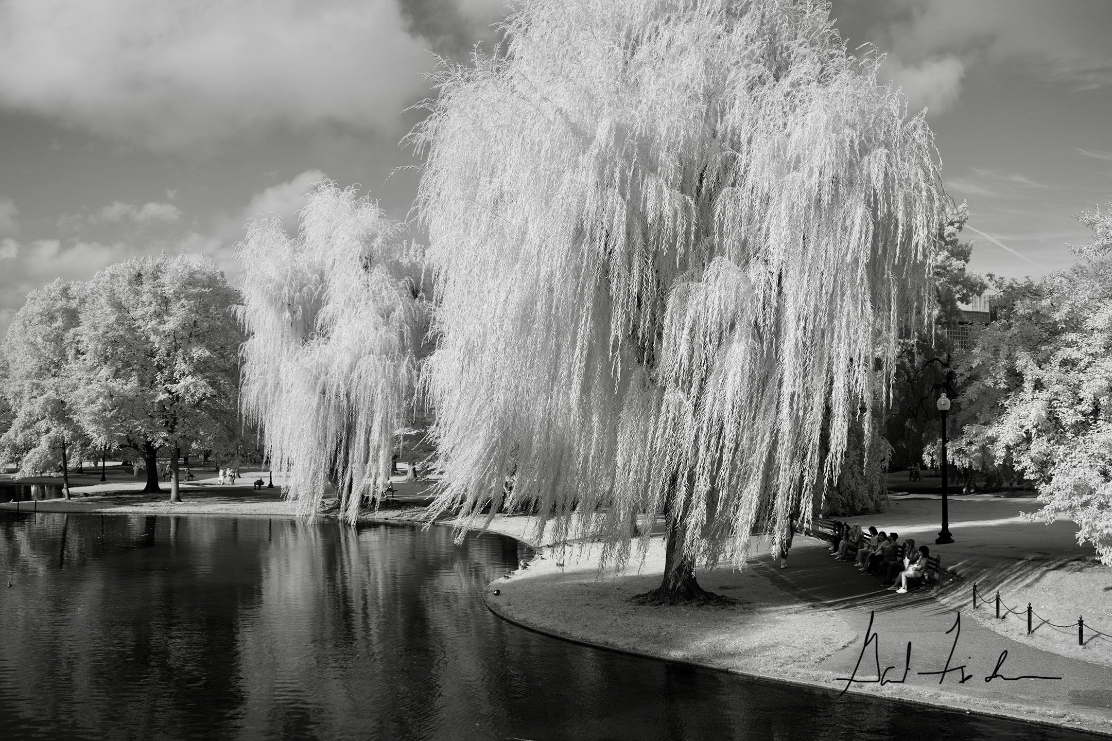 Boston Commons